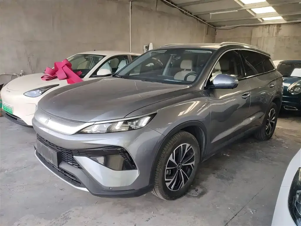 BYD Pro New Energy — фото 2