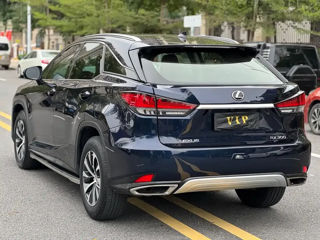 Lexus RX — фото 8