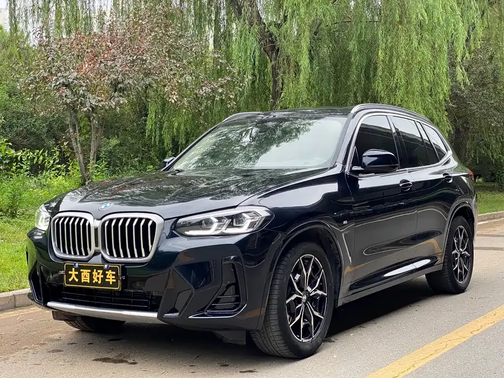 BMW X3 — фото 1