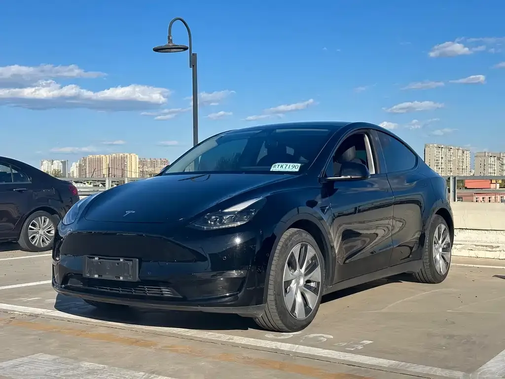 Tesla Model Y — фото 1
