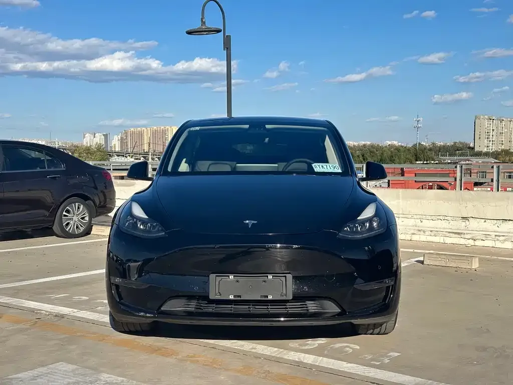Tesla Model Y — фото 2