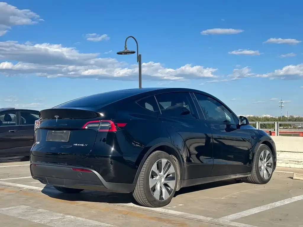 Tesla Model Y — фото 5