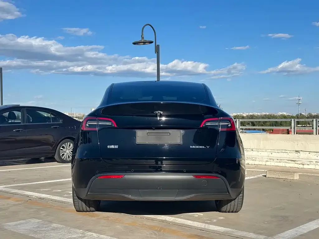 Tesla Model Y — фото 6