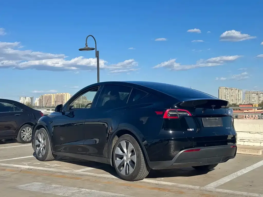 Tesla Model Y — фото 7