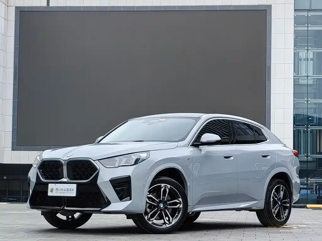 BMW X2 (Import) — фото 1