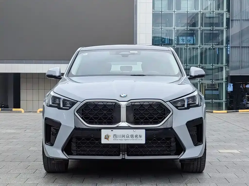 BMW X2 (Import) — фото 3