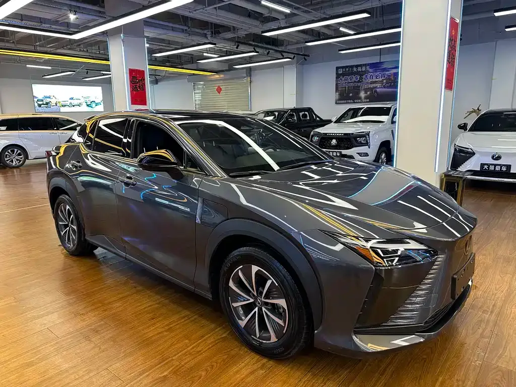 Lexus RZ — фото 7
