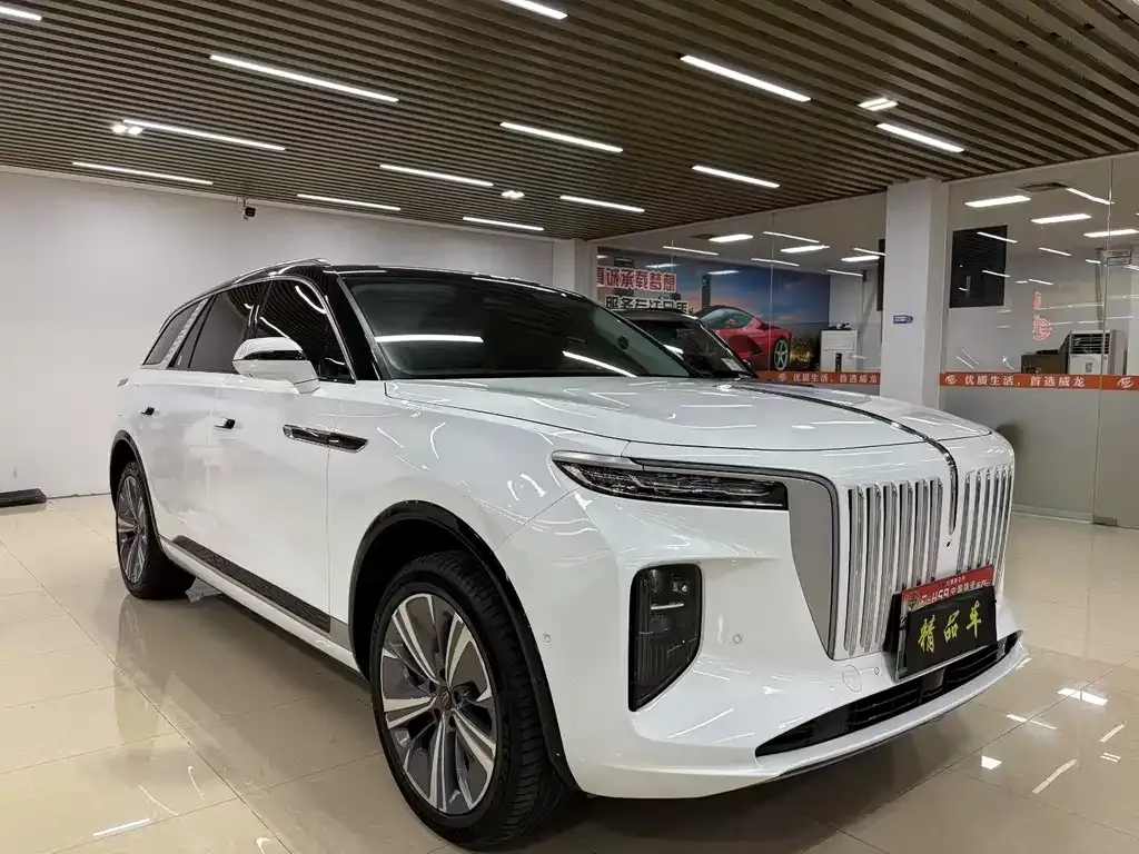 Hongqi E-HS9 — фото 1
