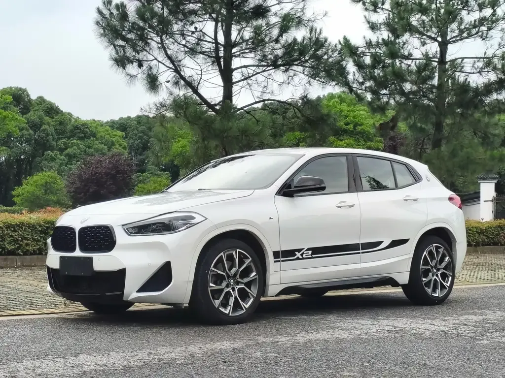 BMW X2 — фото 1