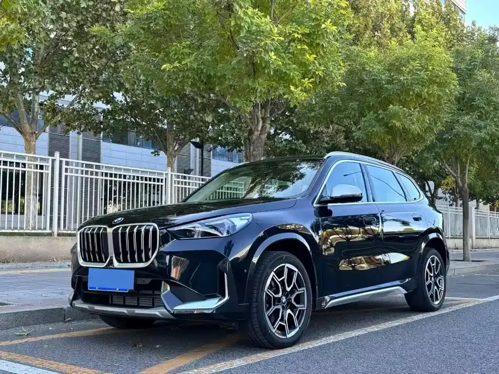 BMW X1 — фото 1