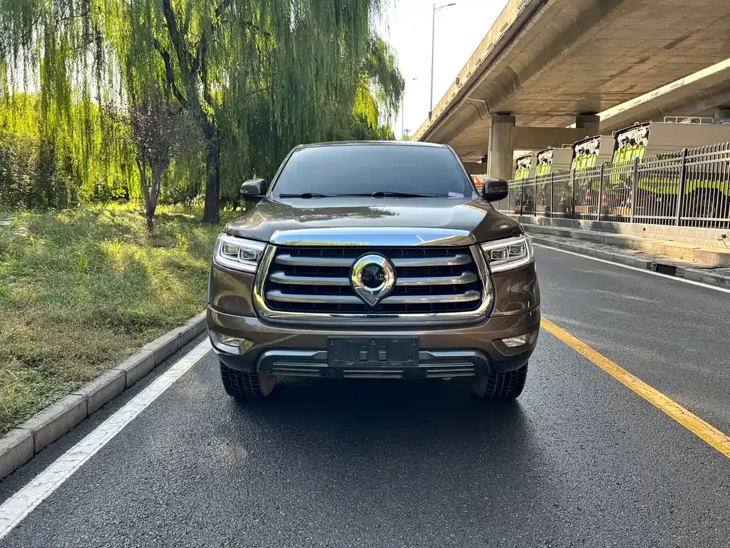 Great Wall Pao — фото 1