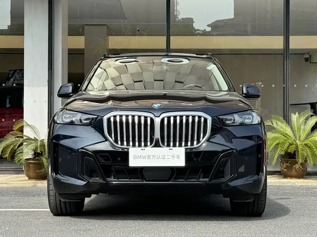 BMW X5 — фото 2