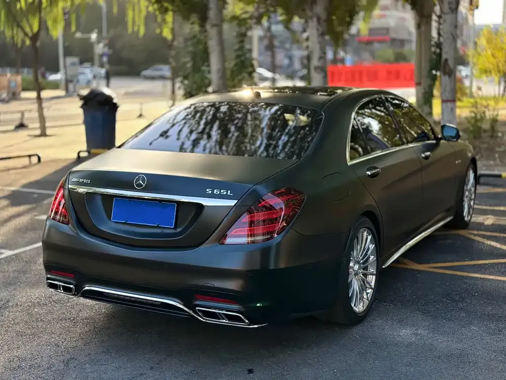 Mercedes-Benz S-Class AMG — фото 6