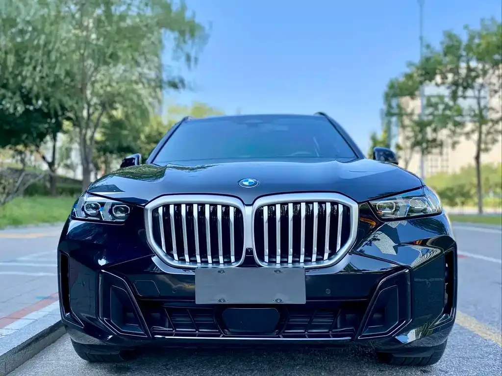 BMW X5 — фото 2