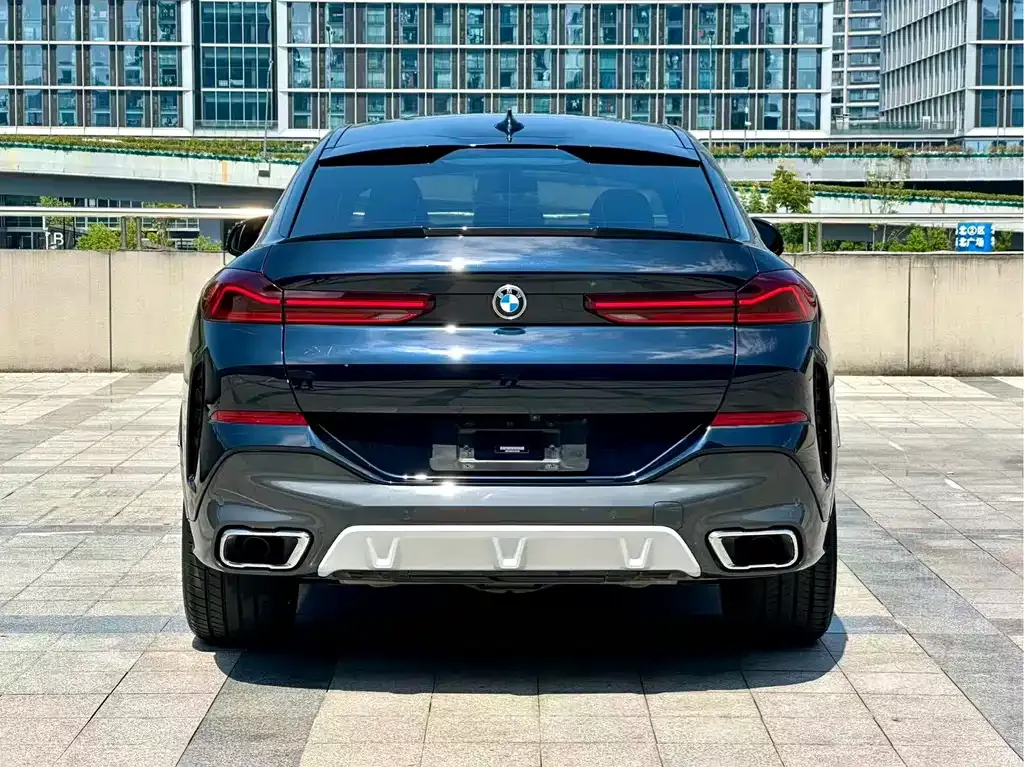BMW X6 — фото 10