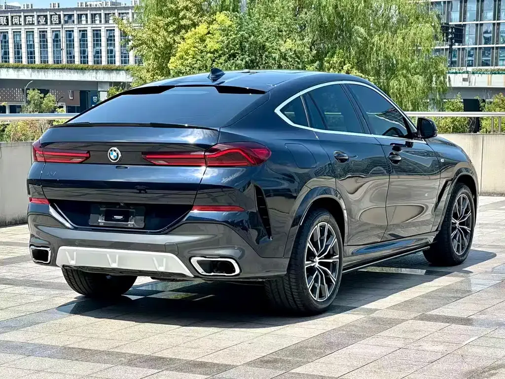 BMW X6 — фото 9