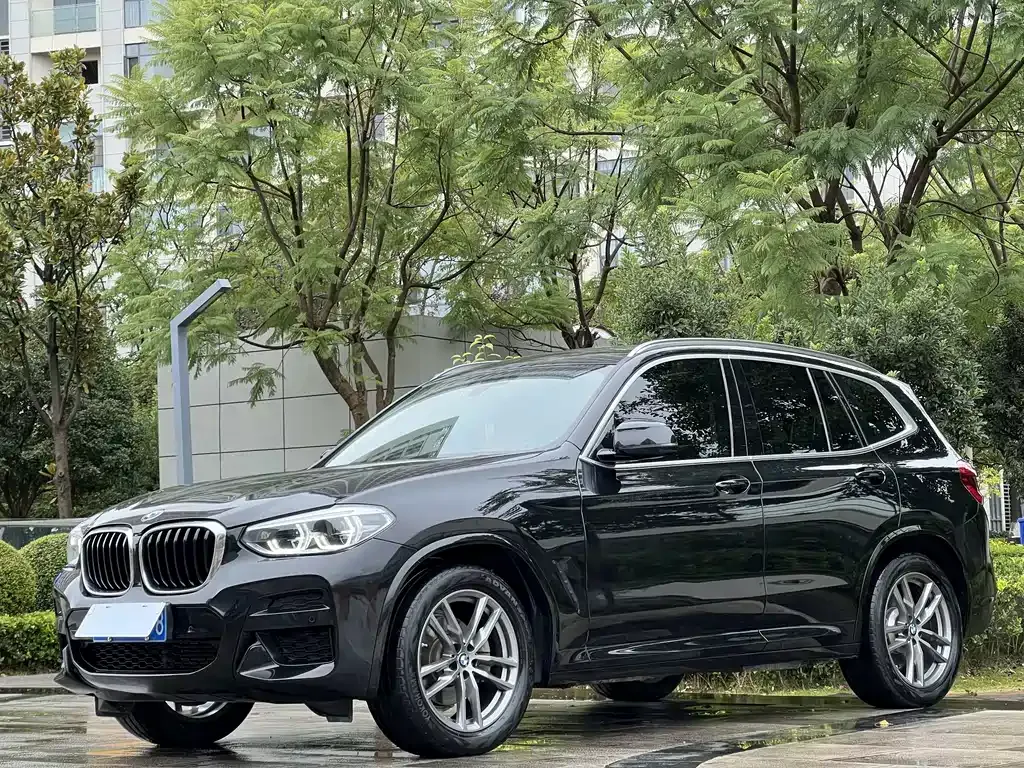 BMW X3 — фото 1