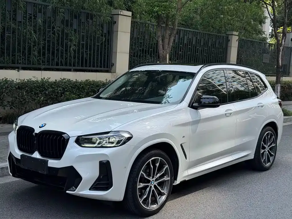 BMW X3 — фото 1