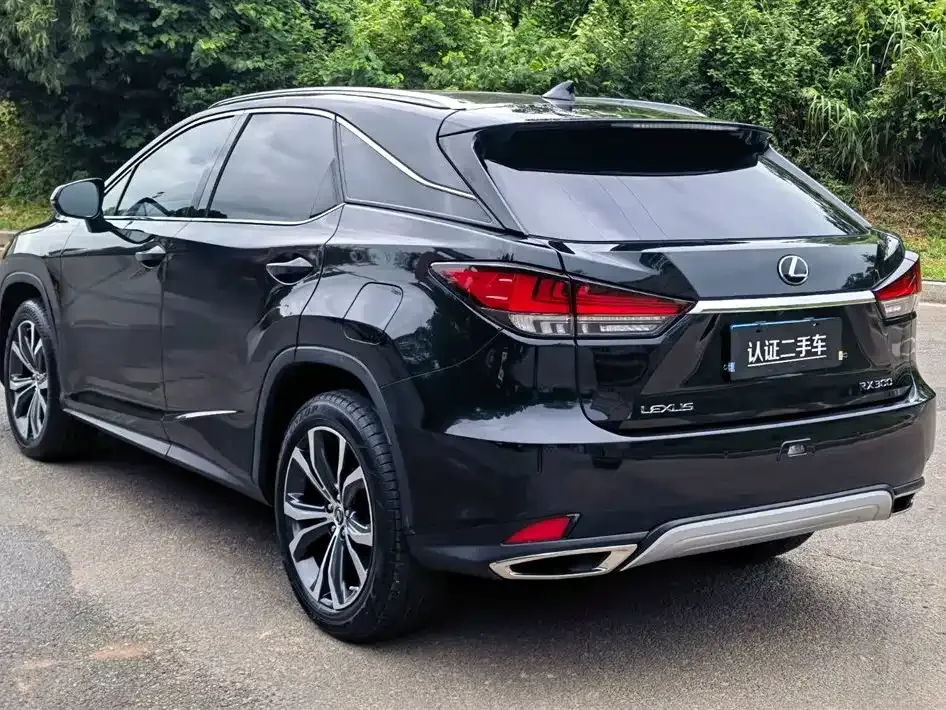 Lexus RX — фото 5