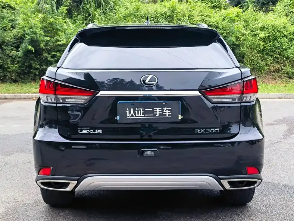 Lexus RX — фото 6