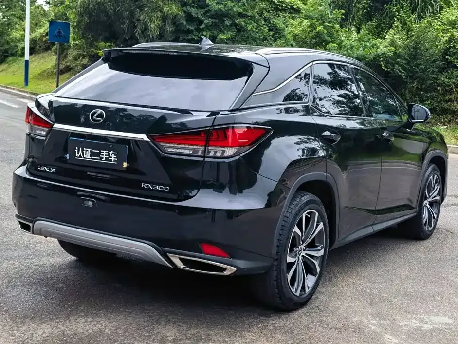Lexus RX — фото 7