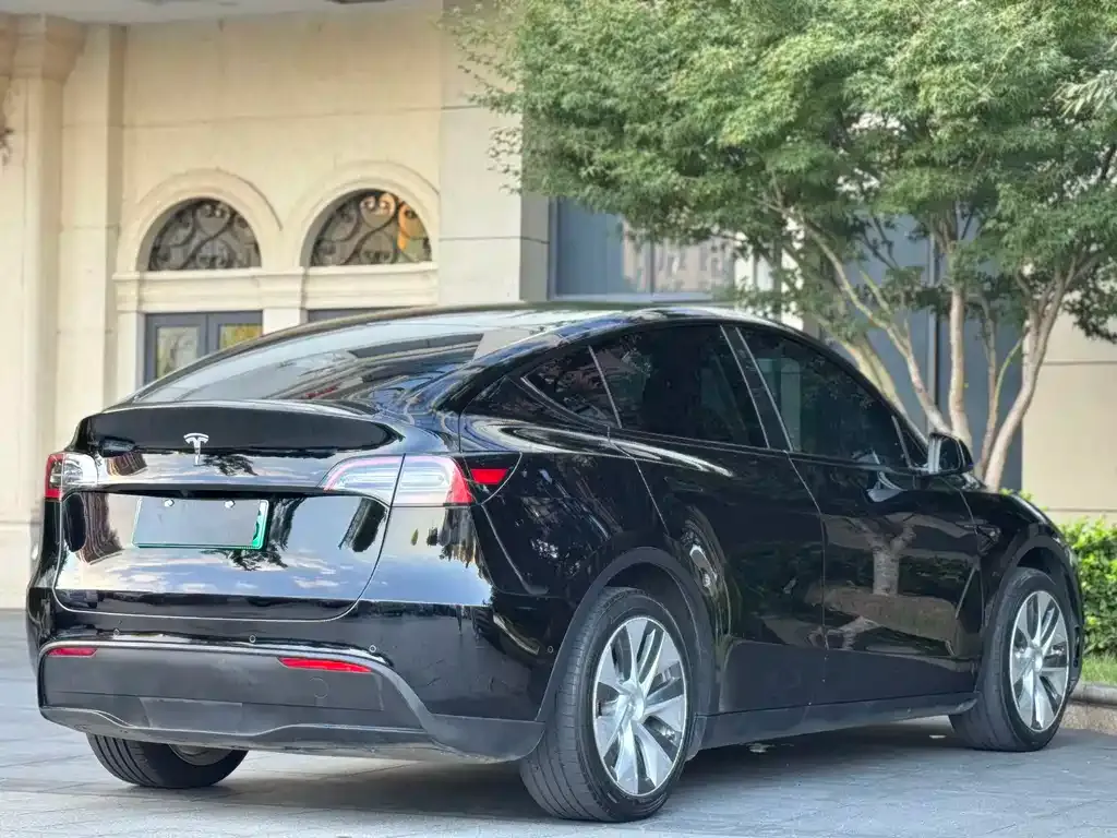 Tesla Model Y — фото 10