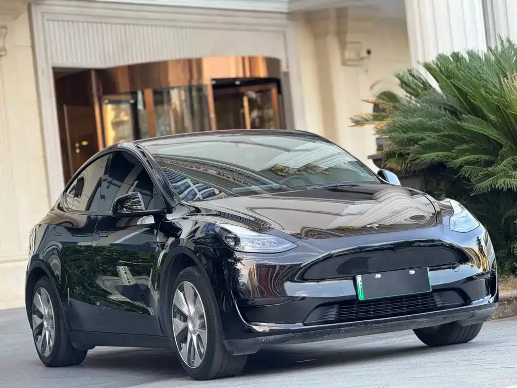 Tesla Model Y — фото 5