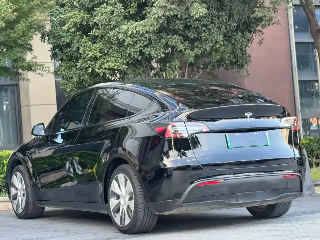 Tesla Model Y — фото 6