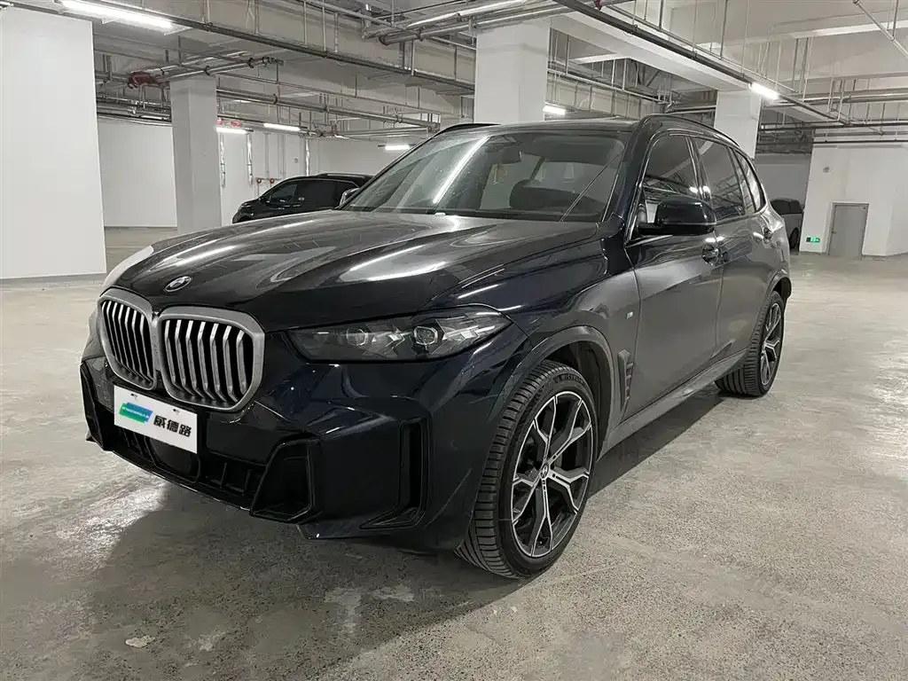 BMW X5 — фото 1