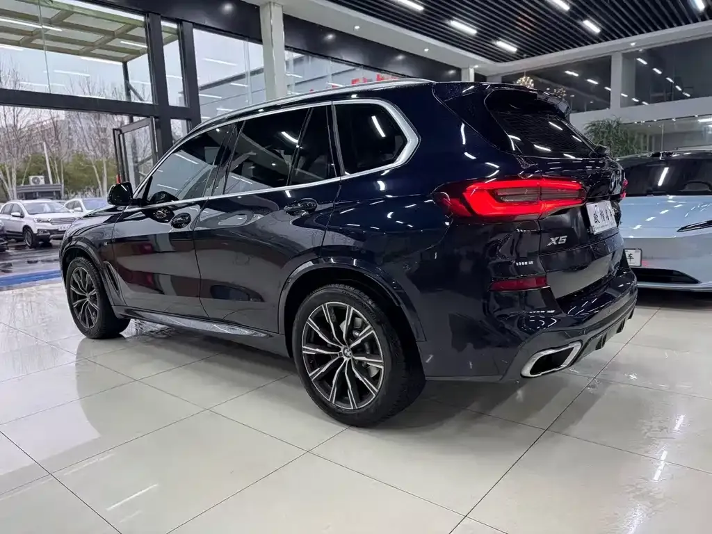 BMW X5 (Import) — фото 6