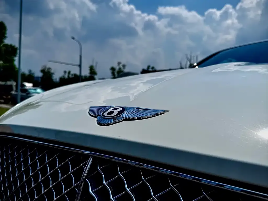 Bentley Continental — фото 8