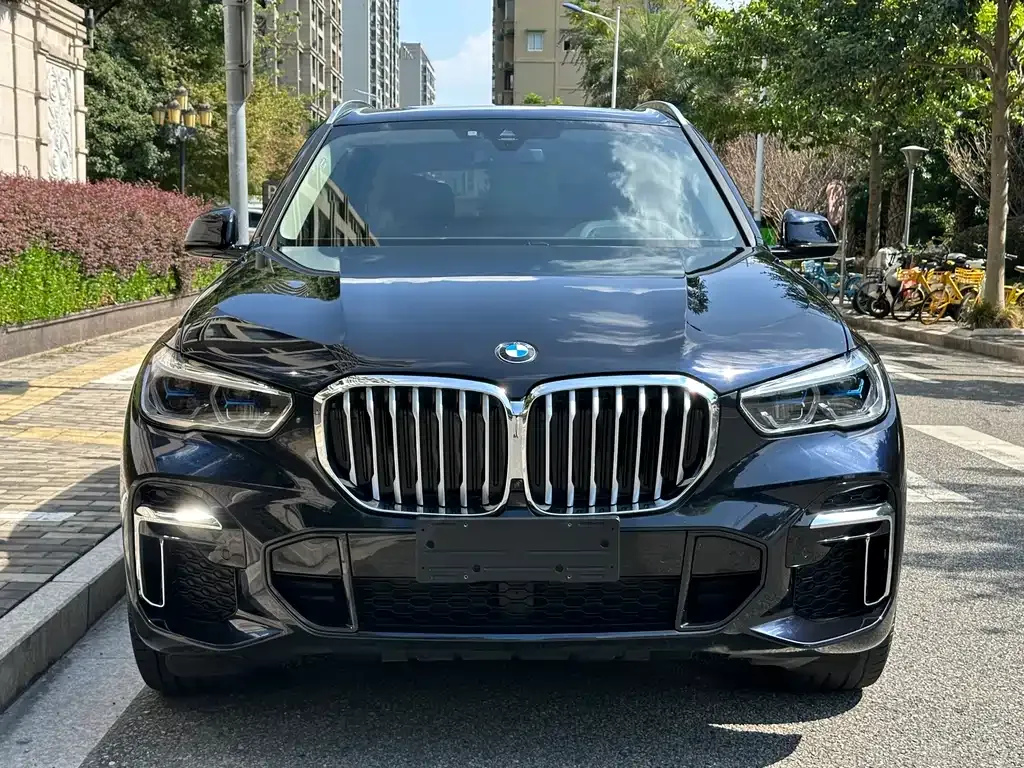 BMW X5 — фото 2
