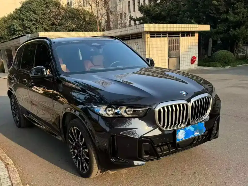 BMW X5 — фото 2