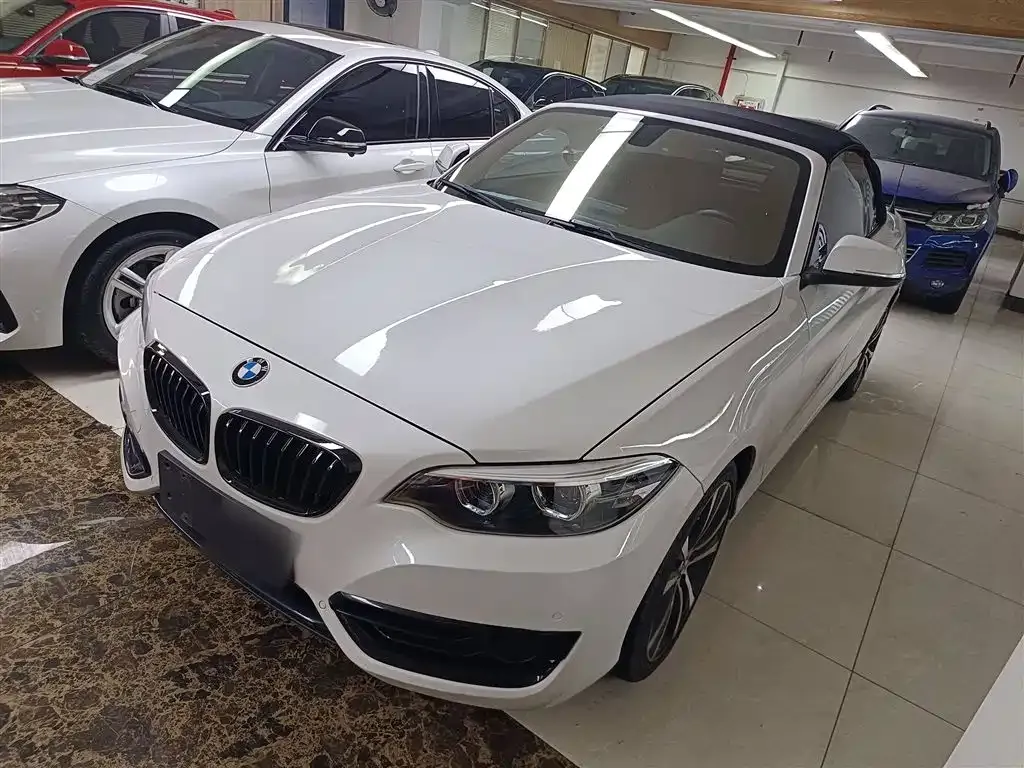 BMW 2 Series (Import) — фото 1