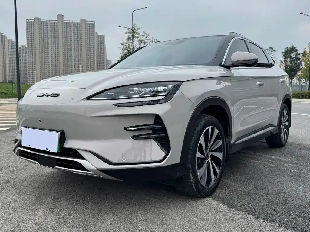BYD PLUS New Energy — фото 1