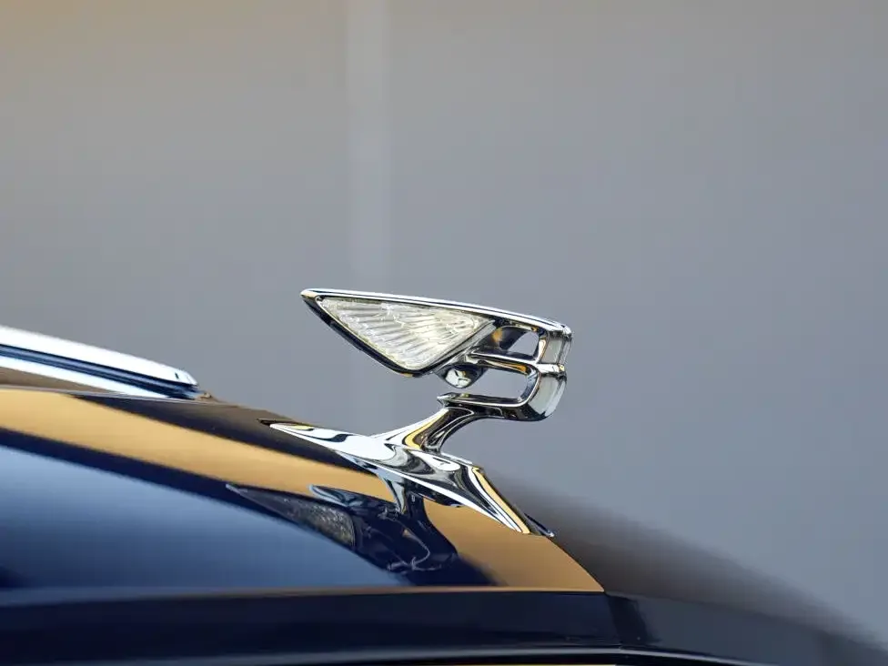 Bentley Flying Spur — фото 5
