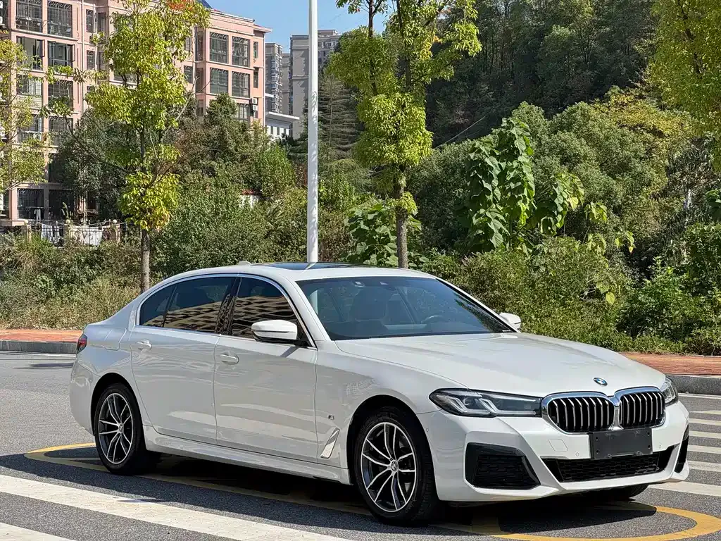 BMW 5 Series — фото 3
