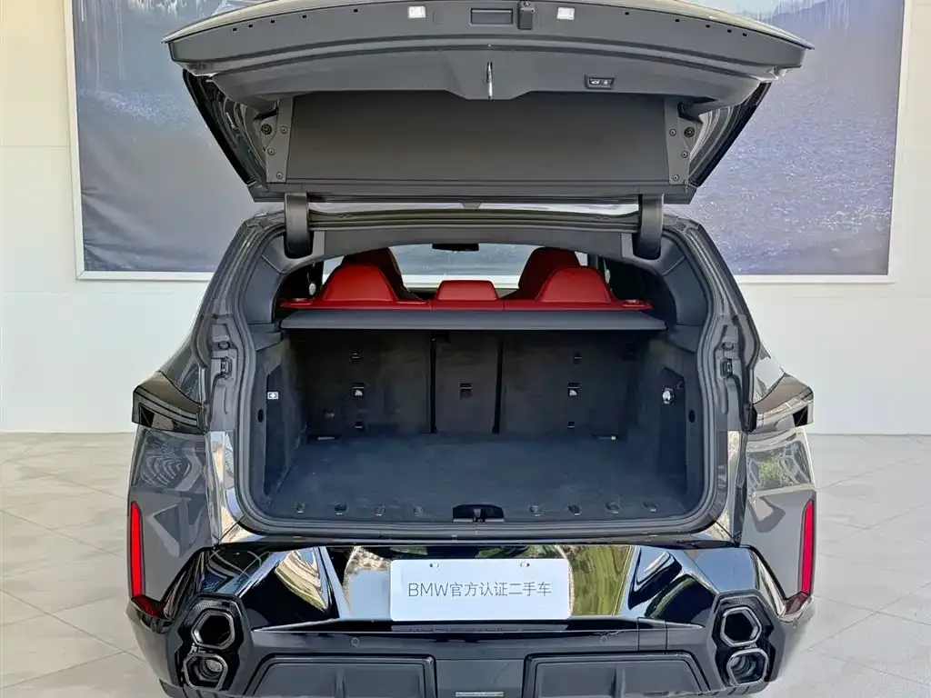 BMW XM — фото 6