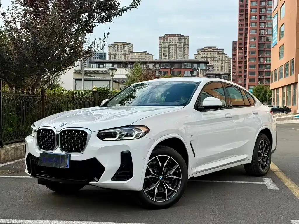 BMW X4 — фото 1