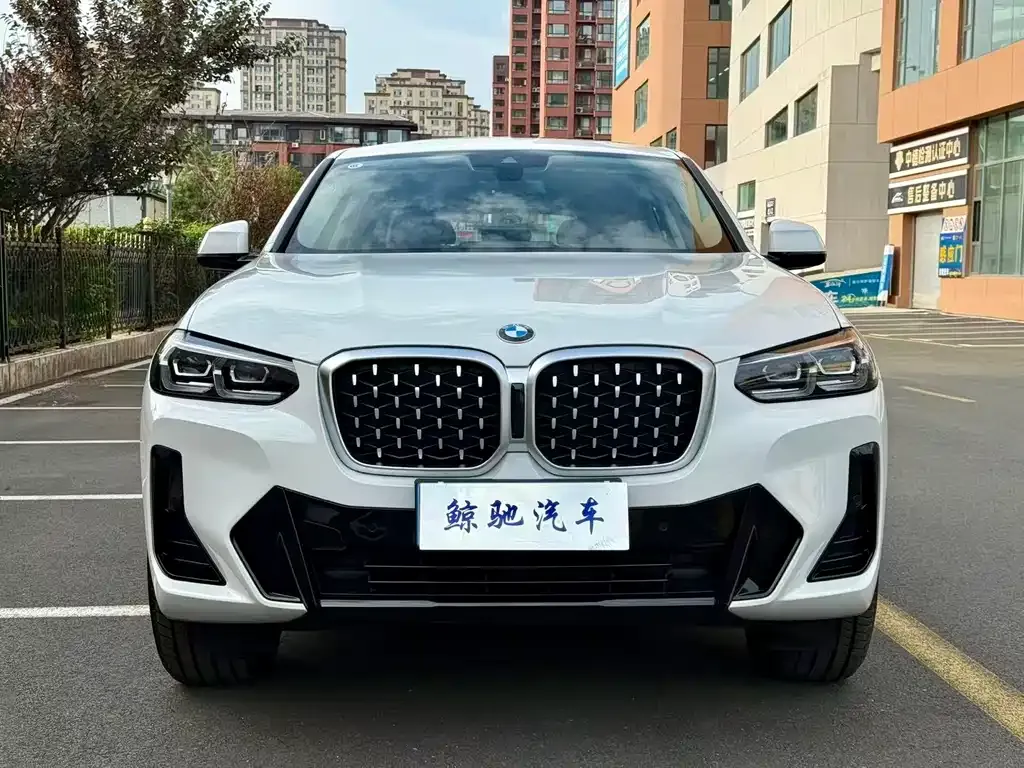 BMW X4 — фото 8