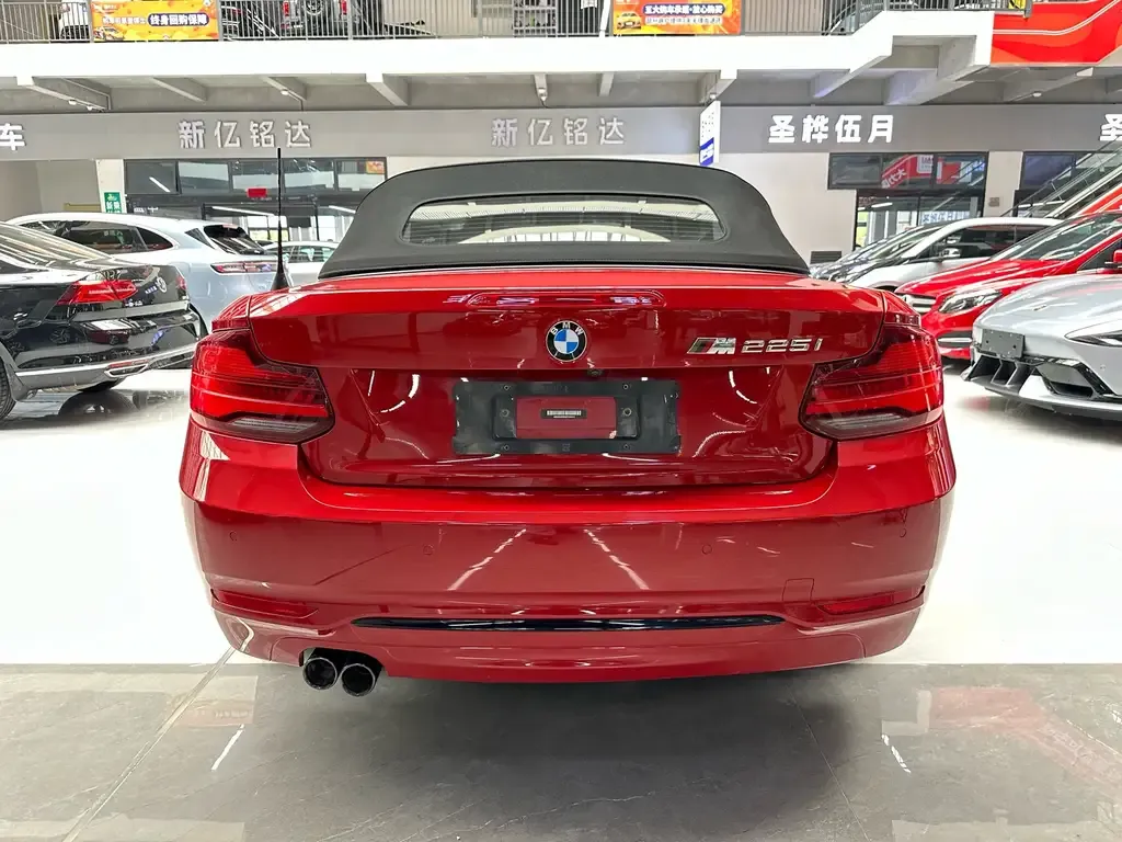 BMW 2 Series (Import) — фото 6