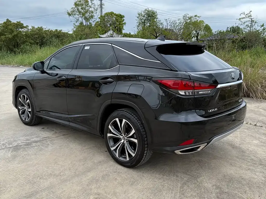 Lexus RX — фото 7