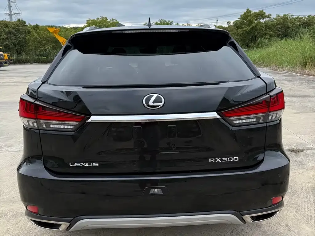 Lexus RX — фото 8