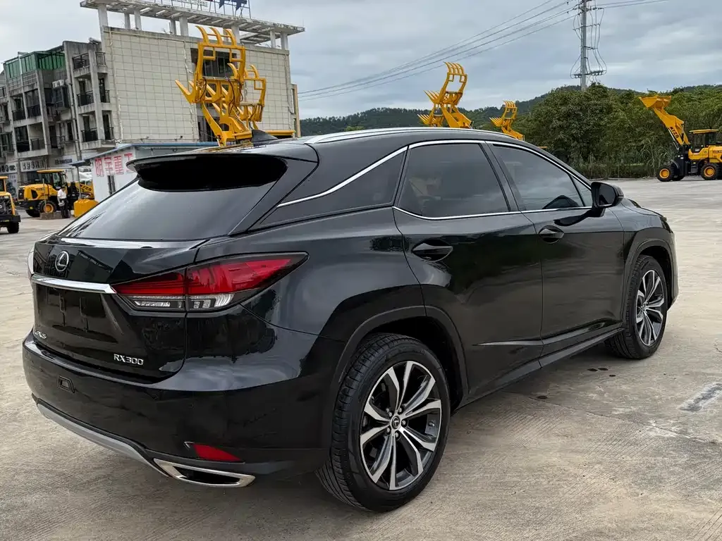 Lexus RX — фото 9