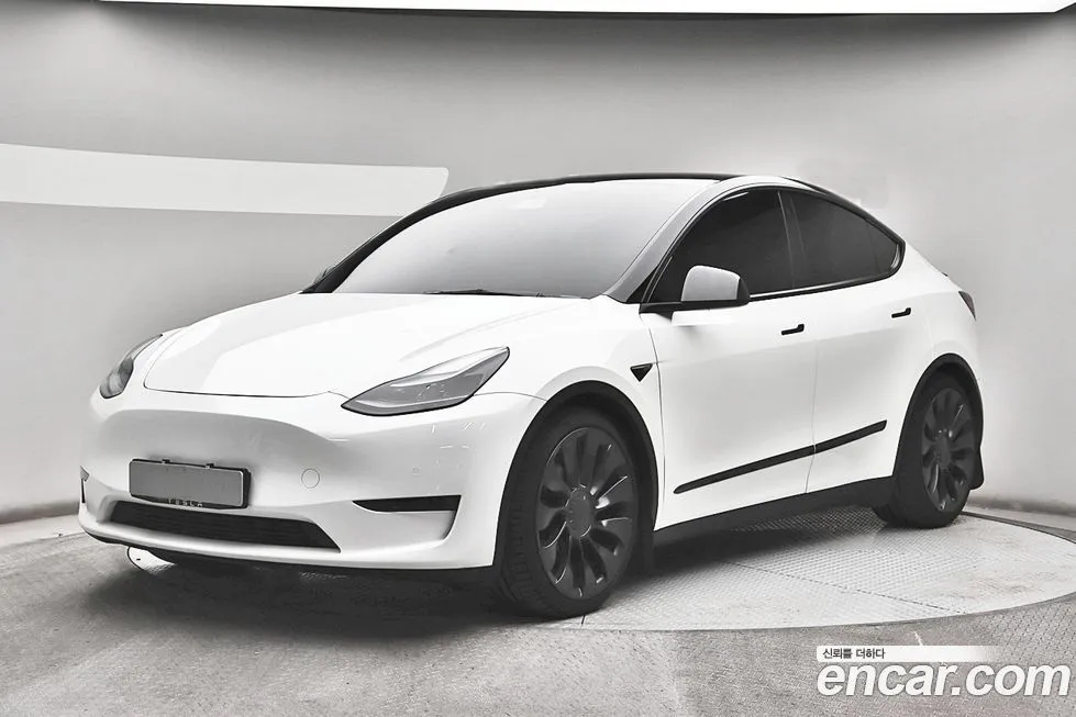 Tesla Model Y — фото 1