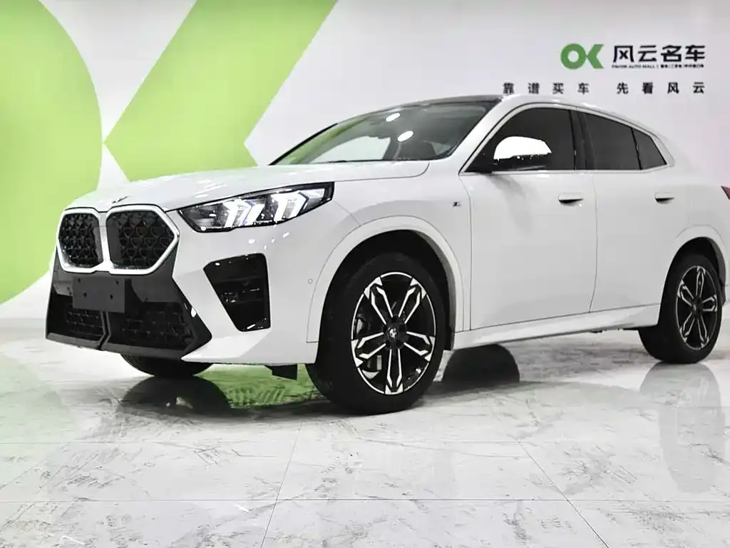BMW X2 (Import) — фото 1
