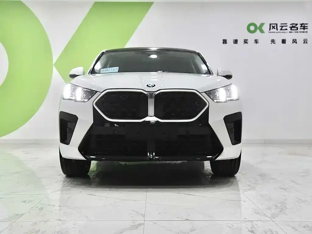 BMW X2 (Import) — фото 2