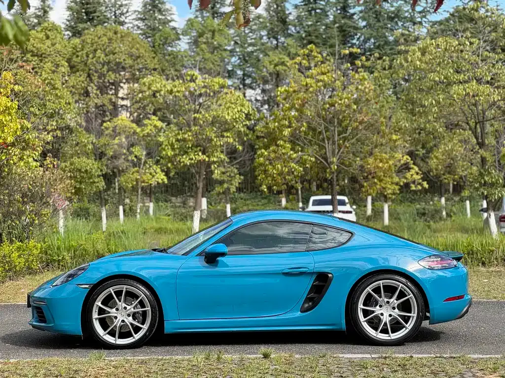Porsche 718 — фото 6