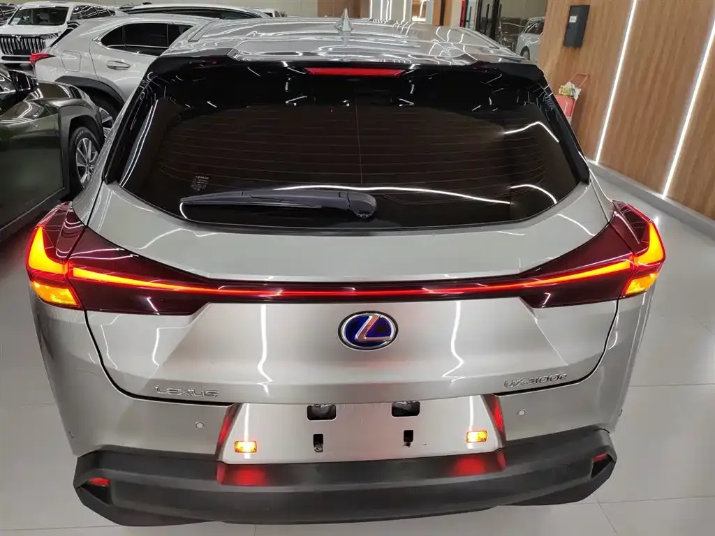 Lexus UX New Energy — фото 6