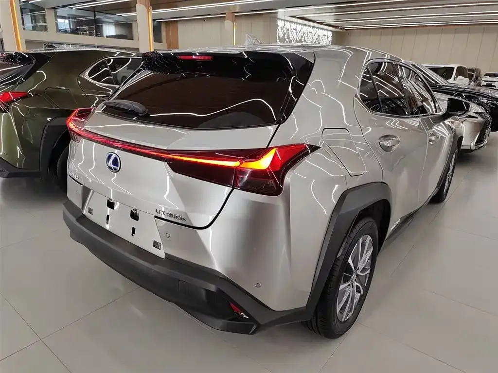 Lexus UX New Energy — фото 7